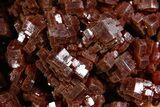 Glittering Ruby Red Vanadinite Crystals on Barite - Morocco #349454-1